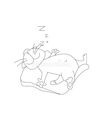 А вдруг получится?