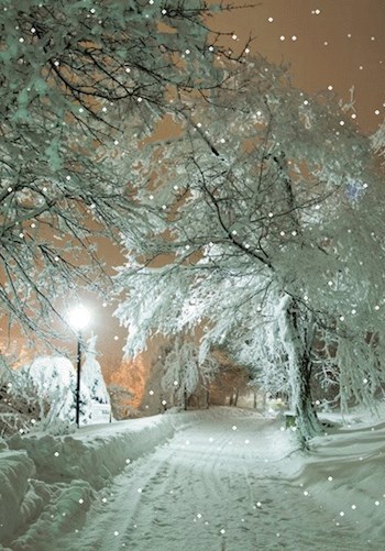 Двенадцать месяцев