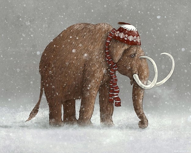 Серёжа