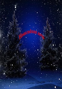 Новогодняя ночь