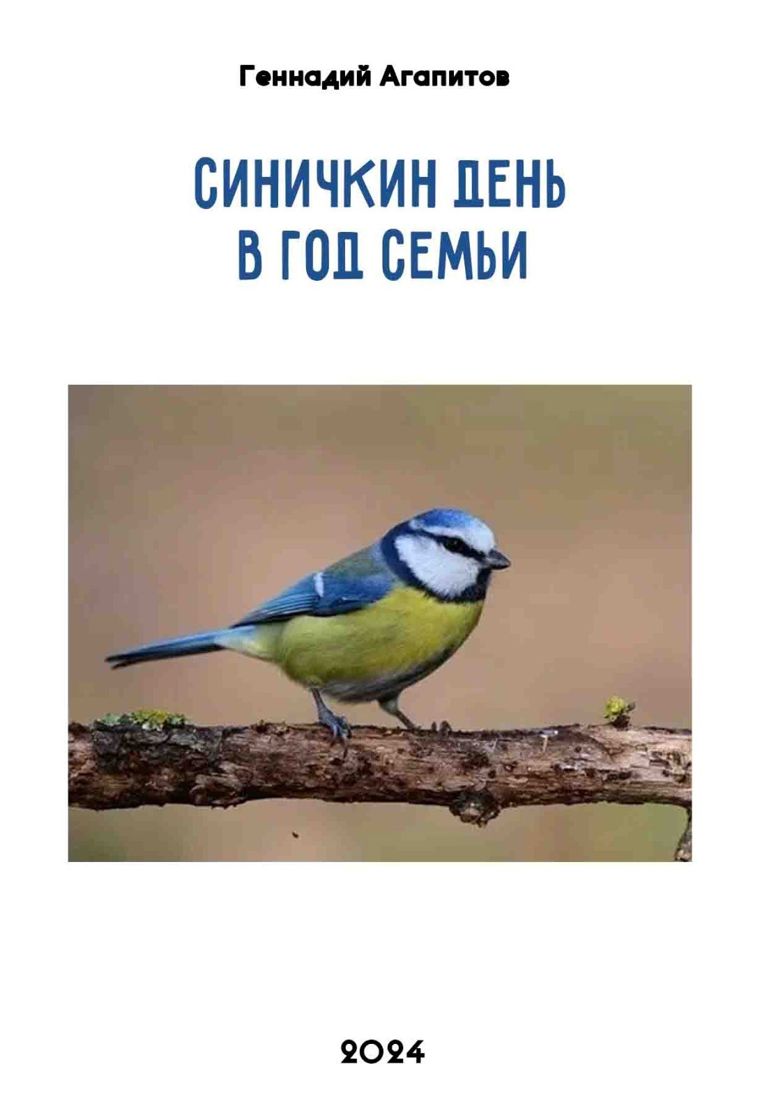 Синичкин День в Год Семьи.