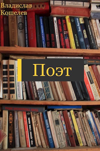 Поэт