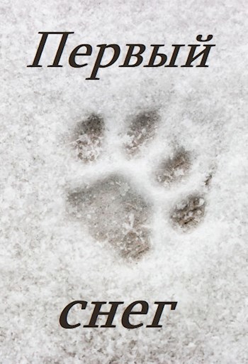 Первый снег