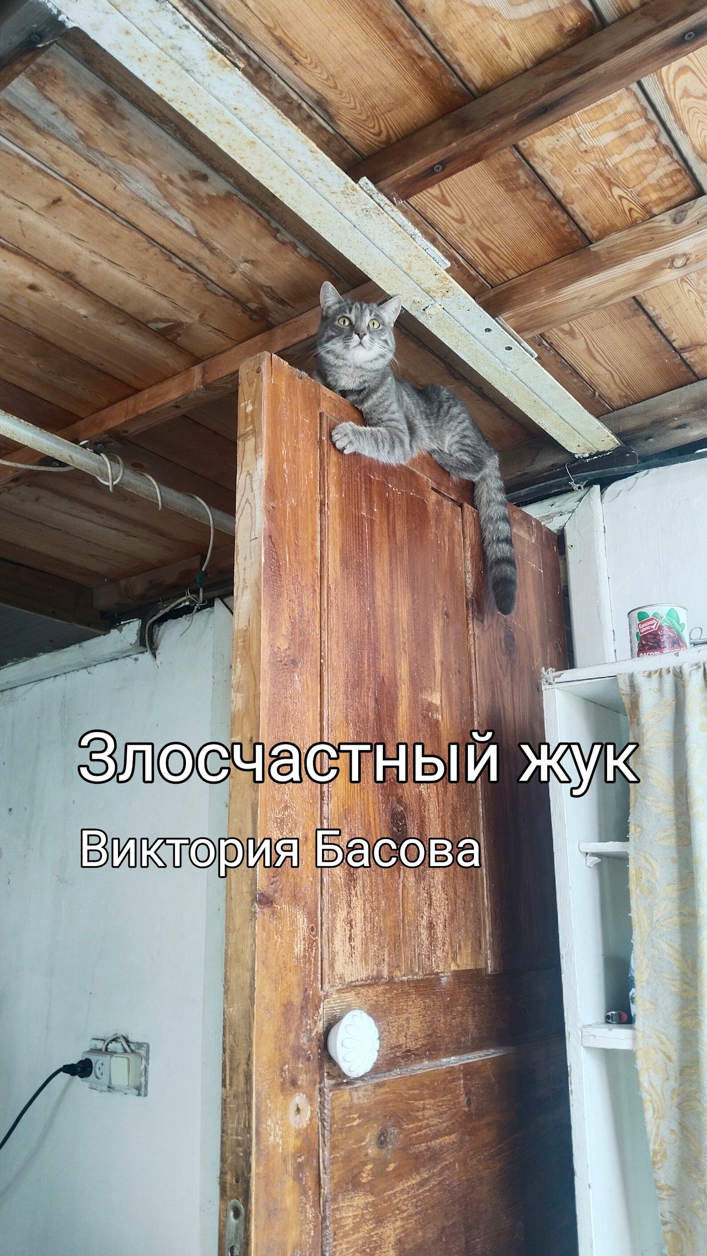 Злосчастный жук