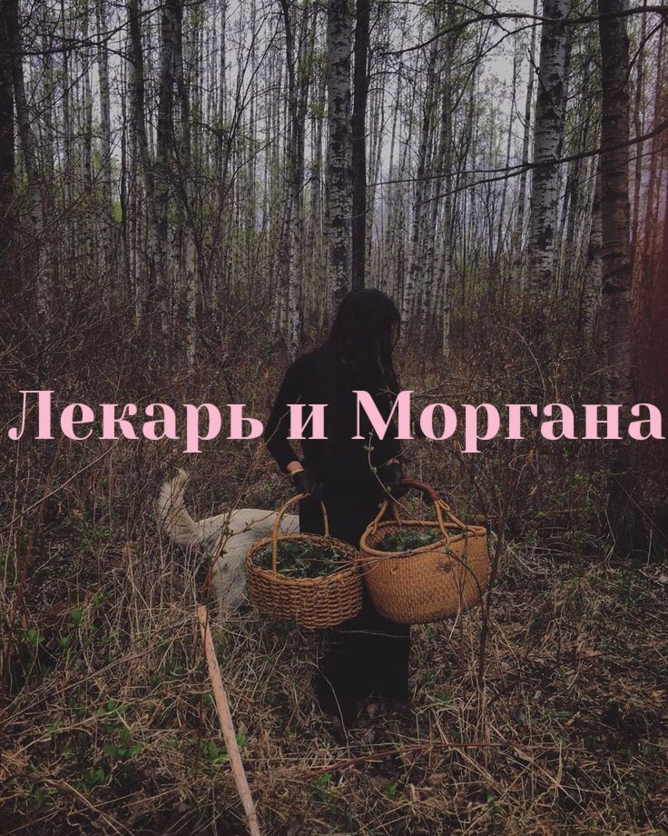 Лекарь и Моргана
