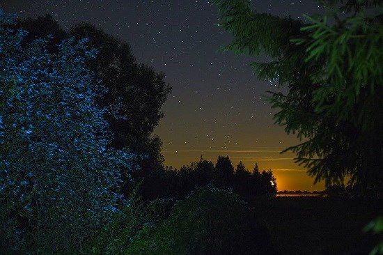 Ухожу в черемуховый сад