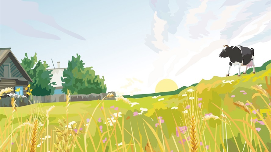 Деревенские заметки