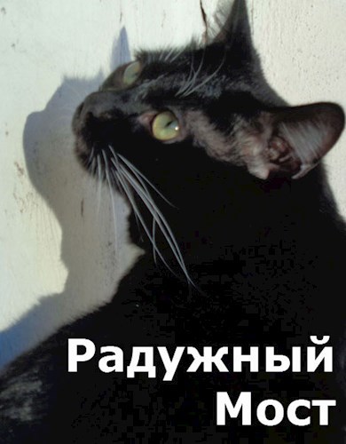 Радужный мост