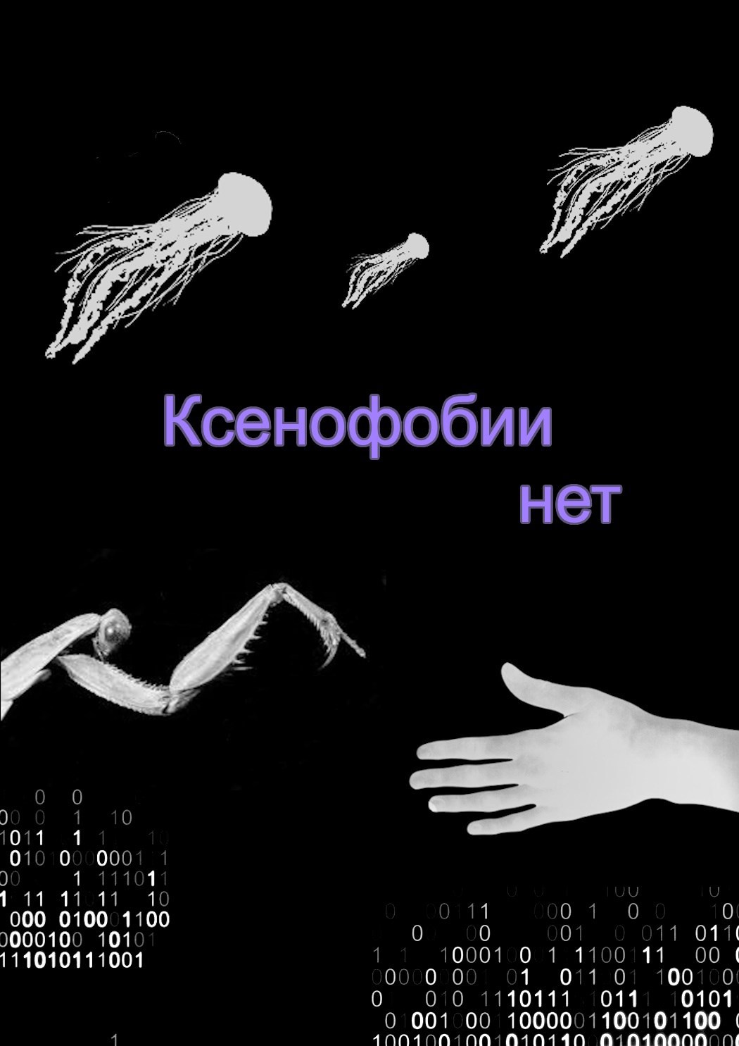 Ксенофобии нет