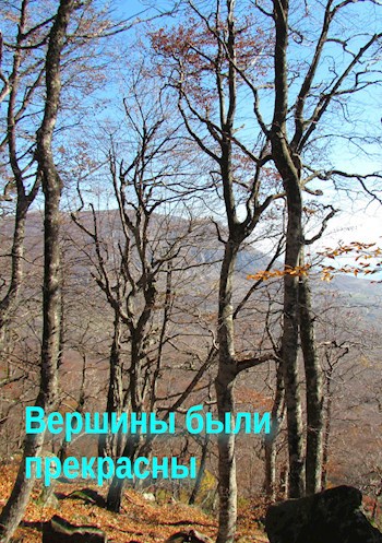 Вершины были прекрасны