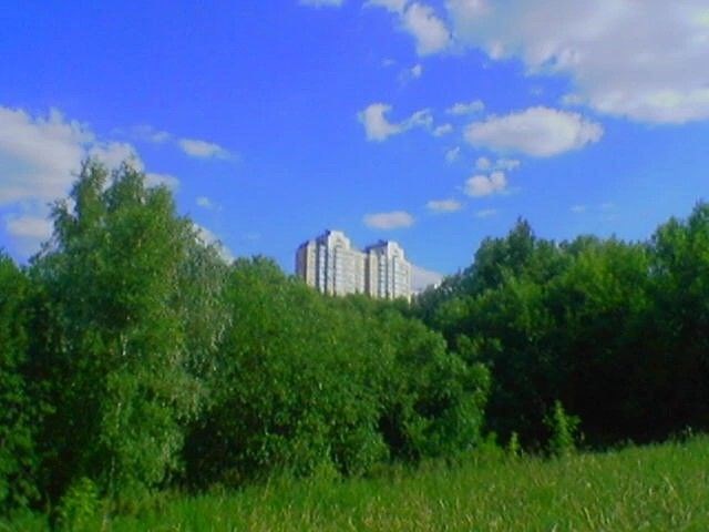 Очередные строки неизвестного поэта