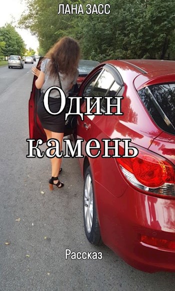 Один камень