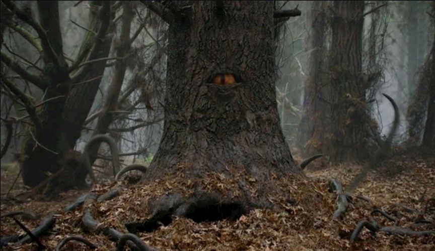 Что там, в лесу?