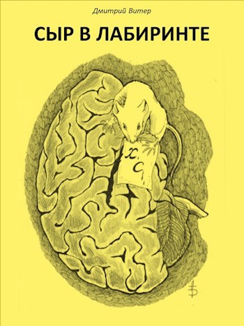Сыр в лабиринте