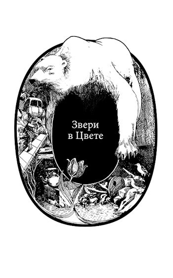 Звери в Цвете