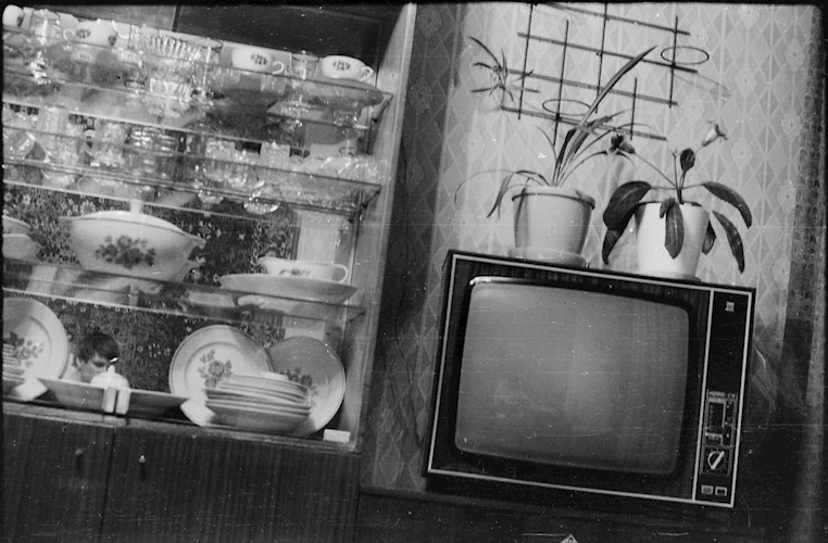 Муравейник