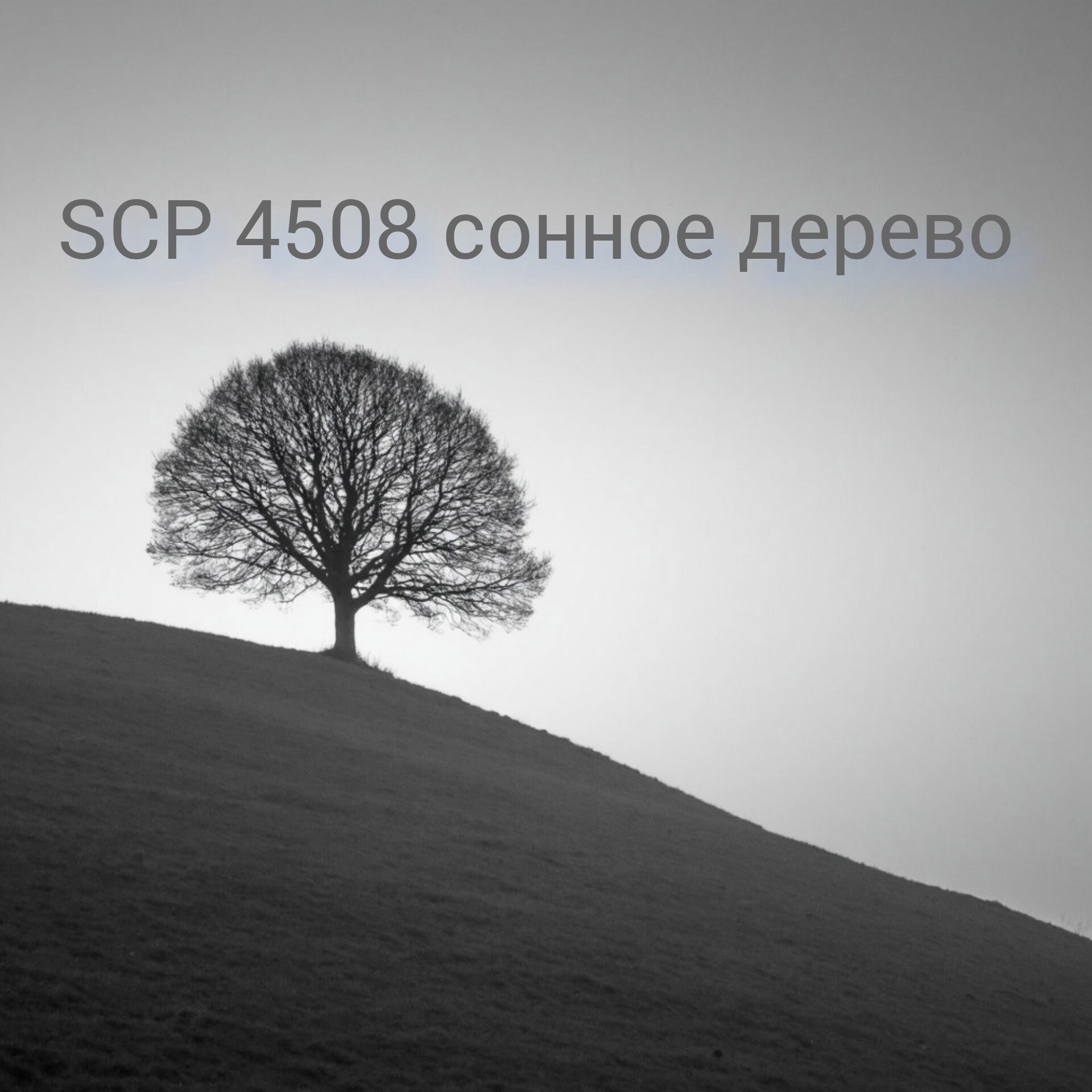 SCP 4508 сонное дерево