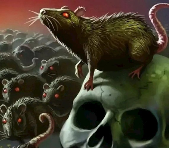 Крысиный король