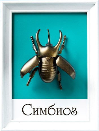 Симбиоз