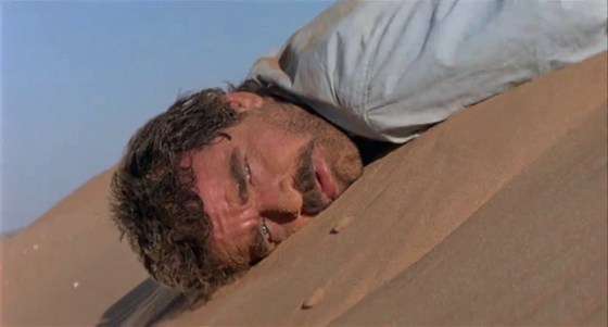 Скотина. Скотина, гад, сука!