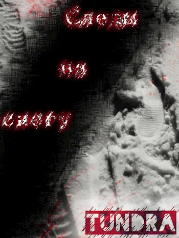 Следы на снегу