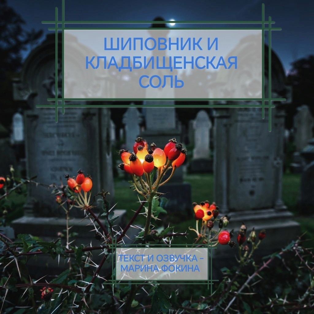 Шиповник и кладбищенская соль