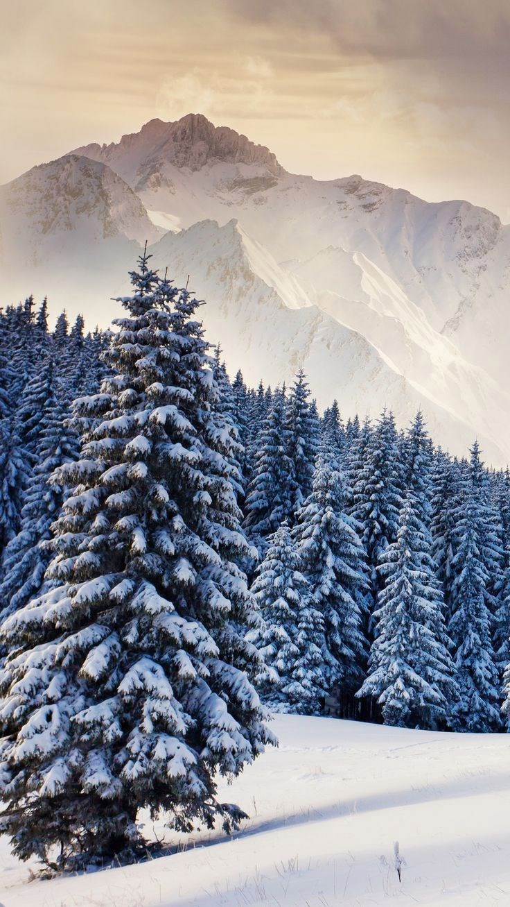 Стих под Новый Год